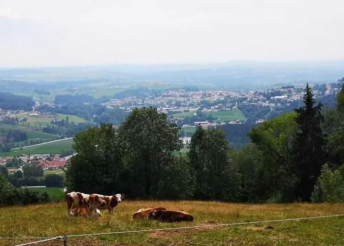 Appartement Blick Fewo306 Hauzenberg