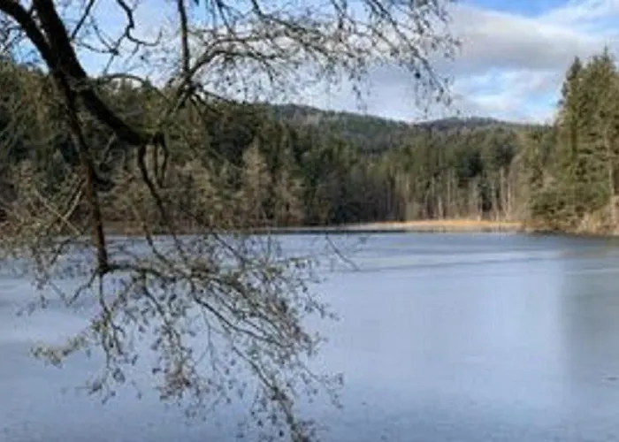 Blick Fewo306 * Hauzenberg